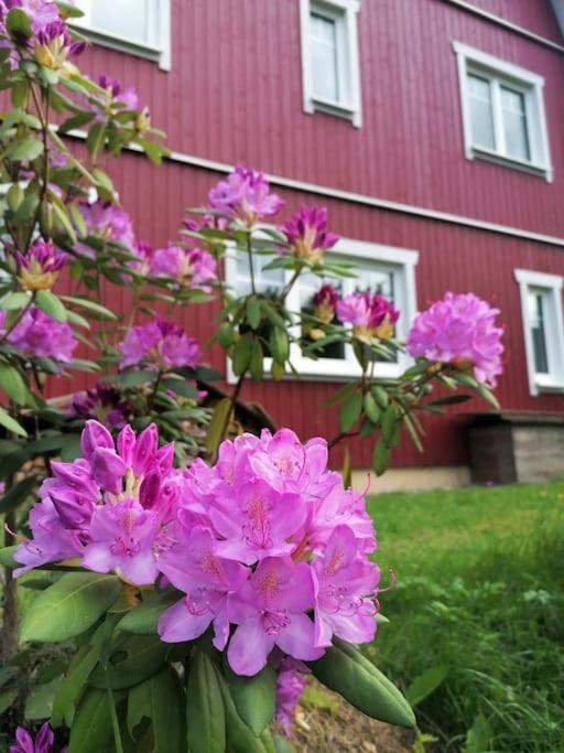 Haus Gruenfels Apartment Мурау Екстер'єр фото