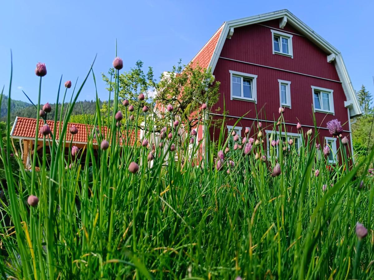 Haus Gruenfels Apartment Мурау Екстер'єр фото